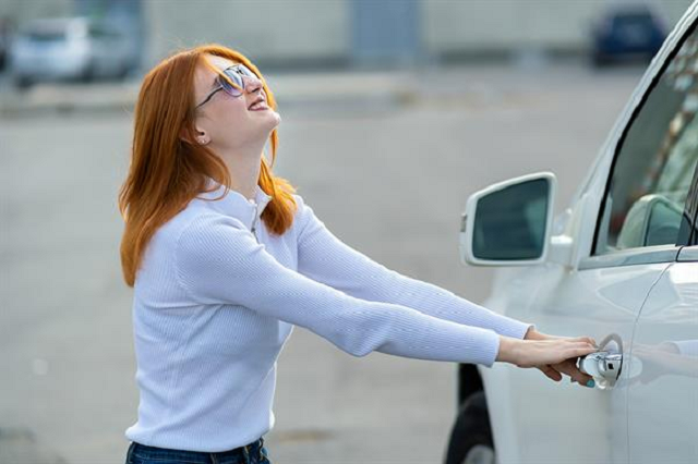 Car Lockout Kit